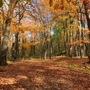 Meet your Posher, Hollie